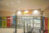 apita-0.jpg